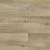 Bellthorpe Silk Oak