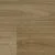Queensland Spotted Gum