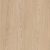 Coral Sands Oak