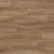Coastal Spotted Gum